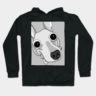 Funny Dog Hoodie